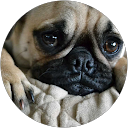 note pad profile picture